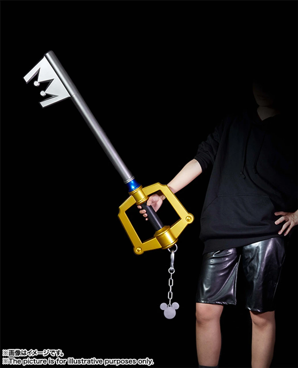 Bandai PROPLICA Kingdom Hearts Key Blade Kingdom Chain 1/1 (Completed) - Image 8