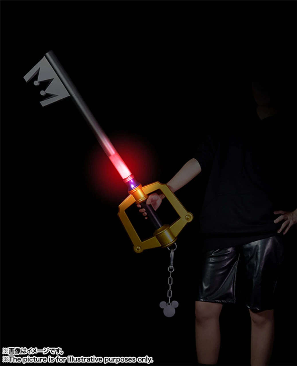 Bandai PROPLICA Kingdom Hearts Key Blade Kingdom Chain 1/1 (Completed) - Image 9